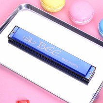 24홀 하모니카 블루 하모니커 교육용악기 악기교구 유치원악기