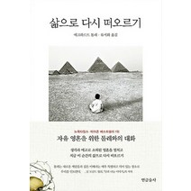 삶으로 다시 떠오르기:자유 영혼을 위한 톨레와의 대화, 연금술사