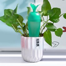 식물쑥쑥 당근모양 화분 자동급수기 화초 꽃 물주기, 식물쑥쑥 당근모양 화분 자동급수기(블루그린), 상세페이지 참조