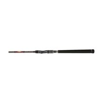 테일워크 바다루어낚싯대 Tailwalk Spinnrute Del Sol Special Edition II134155, S632ML 1/92m 1/8-14g