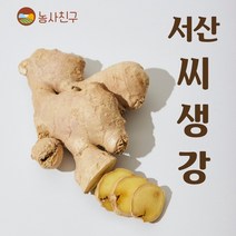 농사친구 서산 씨생강 국산 생강 종자 씨앗 생강씨, 01. 서산 씨생강 1KG + 재배안내장 1장