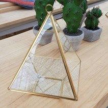 나만의 미니정원 삼각 테라리움, 추가안함