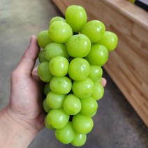 국내산 고당도 망고향 샤인머스켓 2kg 소과 중과 대과, 가정용 소과2kg(4수~5수), 1개