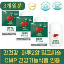 간건강 하루2알 파워푸드 밀크시슬 GMP인증 500mg 60정 X 3box 총 3개월분 건강기능식품, 하루2알 60정 X 3box 총 3개월분