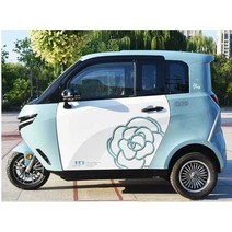 지붕 전기 삼륜차 세발오토바이 휠체어 전동차 칸막이, 리튬배터리 2개