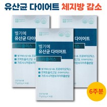 벨기에 유산균 다이어트 트리플러스 체지방감소 가르시니아 분말 가루 스틱, 5.5g/14포, 3