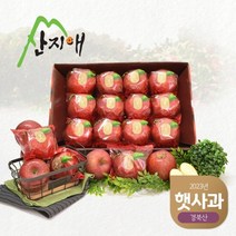 [2023햇사과] 산지애 씻어나온 꿀사과 3kg 1box (중과), 1박스
