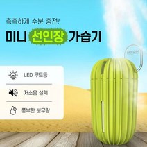 인테리어 소품 무드등 USB 선인장 미니 가습기, 라이트그린