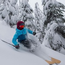 BLACKSTRAP Team Hood 방한모 페이스 마스크 정품보장, One Size, Mallard