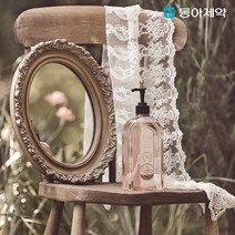 핸디가드 솔리아 핸드워시 530ml 1개