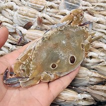 나라수산 삼점게 암게 80~100마리 3kg 6kg, 삼점게(암게)6kg, 1개