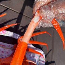 독도 홍게 3kg 6kg 자숙, 고급형(수율70~80%)