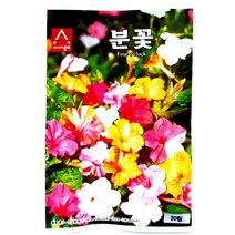 아시아종묘 꽃씨앗종자 상록패랭이 (kg) C27, 단품없음