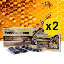 네이쳐스그린웨이 호주 고함량 프로폴리스 5000mg 120정(4개월분), 120정, 2개