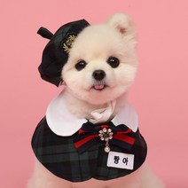 모모스페이스 교복 케이프 넥카라 강아지 스카프 고양이 유치원 애견 악세서리 대형견 소형 XS 7XL, XL, 레드