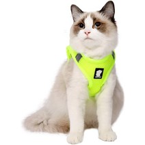 고양이캣휠 캣휠 고양이휠Heywean 고양이 하네스 및 목줄 - 초경량 탈출 방지 칼라 러, 03 Medium_06 초록색.