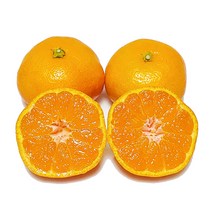 [제주의맛] 맛있는 제철 감귤 산지직송! 품질보장!, 감귤 대과(2L) 10kg
