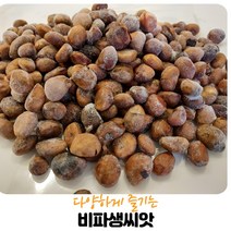 완도산 비파씨앗 200G
