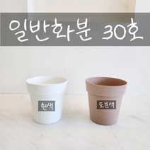 더알로하 조화나무 6종 대형 인조나무, 일반화분 30호(흰색), 1개