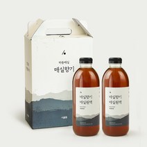 경남 하동 매실향 가득한 오리지널 수제 매실원액 선물용 매실청, 2개, 1000ml