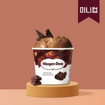 하겐다즈 아이스크림 미니컵 벨지안 초콜릿 100ml