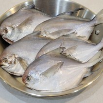 국내산 손질 병어 10마리, 2개