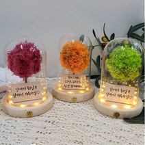 메세지 각인 스칸디아모스 무드등 만들기 DIY 키트, 올리브_폰트2