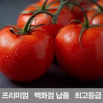 매직행복쇼핑+/ 영화청과 국내산 토마토 5kg 프리미엄 백화점 남품/요리, mr//_: 1, mr//_: 본상품선택