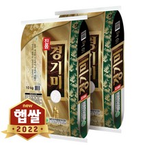 현대농산 2022년 햅쌀 대한 경기미 쌀 20kg (10kgX2봉) 상등급, 2개