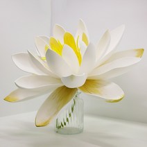 씨앤트리주식회사 수련 대형꽃 에바폼 자이언트플라워 빅플라워, 대형(지름 약 62cm)