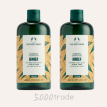 더바디샵 진저샴푸 가려움증 완화 두피보호 400ml x 2개, 400ml × 2개