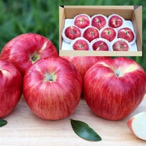 저탄소 gap인증 의성햇사과 중과2kg(7~8입)/BFK