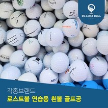 로스트볼 연습용 흰볼 골프공 100알, 100개