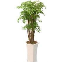 폴리셔스2 ej1 개업 집들이 축하 선물 거실 인테리어