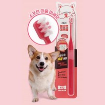 바른생각 꼼꼼히 닦이는 이중미세모 애견칫솔 강아지치약오라틴