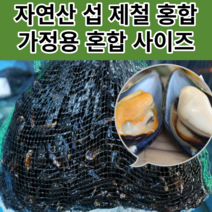 자연산섭 1kg 제철 홍합 가정용 BEST 혼합사이즈