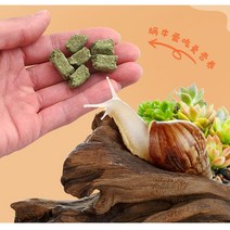 달팽이사료 먹이 전용사료 사료 애완 키우기 수족관 달팽이 영양제, 옵션4