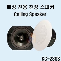 KC-230S 30W 카페스피커