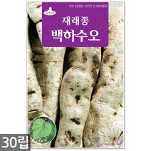 쌈배추 씨앗 1000립 - 배추씨앗 배추씨 쌈추 배추 채소씨앗 쌈채소씨앗 채소씨 씨, 02_백하수오(30립)
