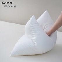CNTCSM 제조사 직판 소파 베개 코어 허리 베개 주문 제작 고탄성 내마모 쿠션 프린트 내담 45 50 60 70 80, 60*60 약 800g【55 베개 커버 포함】
