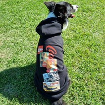 위드레오 대형견후드티 중형견옷 블랙 봄가을 기모, 기모없음