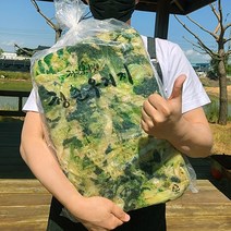 [청춘오가닉] 국내산 삶은 냉동우거지 대용량 염지 20kg (10kg x 2ea), 2개