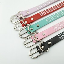 [우리기쁜날]블링블링 핫픽스 애견 목줄, 레드