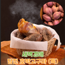 [계절식탁] 새벽경매 달달촉촉 당진 호박고구마, 특 5kg