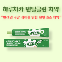 펫생각 바르는 먹는 소형견 중형견 대형견 애완견 반려견 개 새끼 강아지 용품 애견 치석 치아 관리 구취 입냄새 잇몸염증 충치 치주염 제거 양치 구강케어 천연 딸기맛 메론맛 치약, 메론맛 60g 1개
