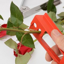 장미 가시 제거기 꽃꽂이 재료 화훼장식기능사 실기, 가시제거기