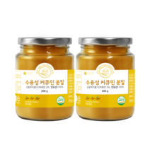 바로푸드 수용성 커큐민 분말 가루 강황 인도산 200g, 2개