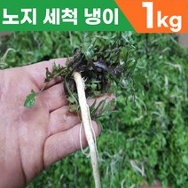노지 재배 산지직송 충남 서산 황토 세척 겨울 냉이, 1kg