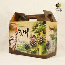 황칠나무즙 1박스 (100ml x 60포), 60포