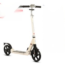 두발 킥보드 신형 충격흡수 접이식 스쿠터 전기 듀얼, C